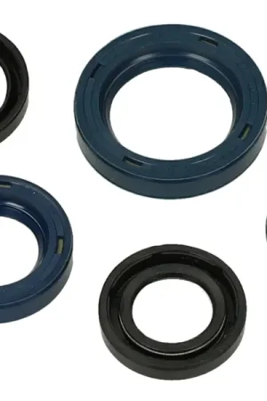 Express Levering Keerringset CIF Gilera Citta, Vespa Ciao, Si (met variateur)