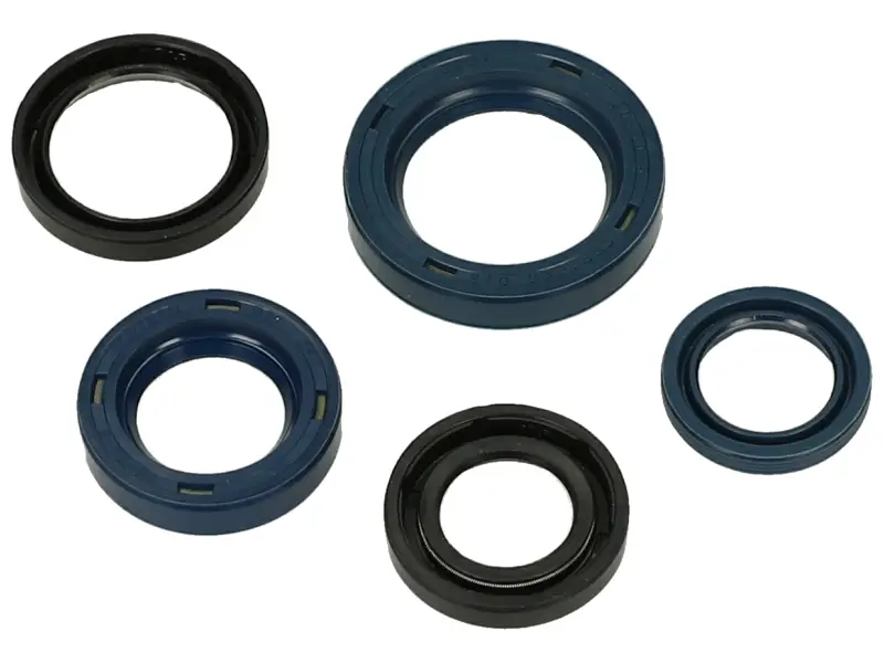 Express Levering Keerringset CIF Gilera Citta, Vespa Ciao, Si (met variateur)
